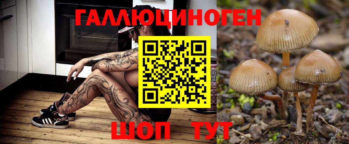 Псилоцибиновые грибы ЛСД Дмитров